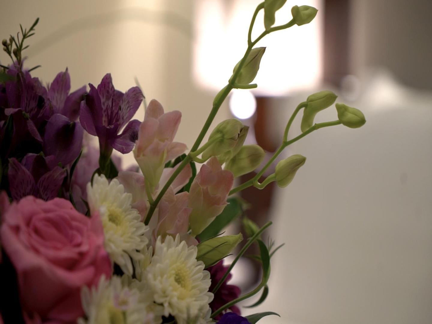 Violet Rose Aprit Hotel Джеда Екстериор снимка